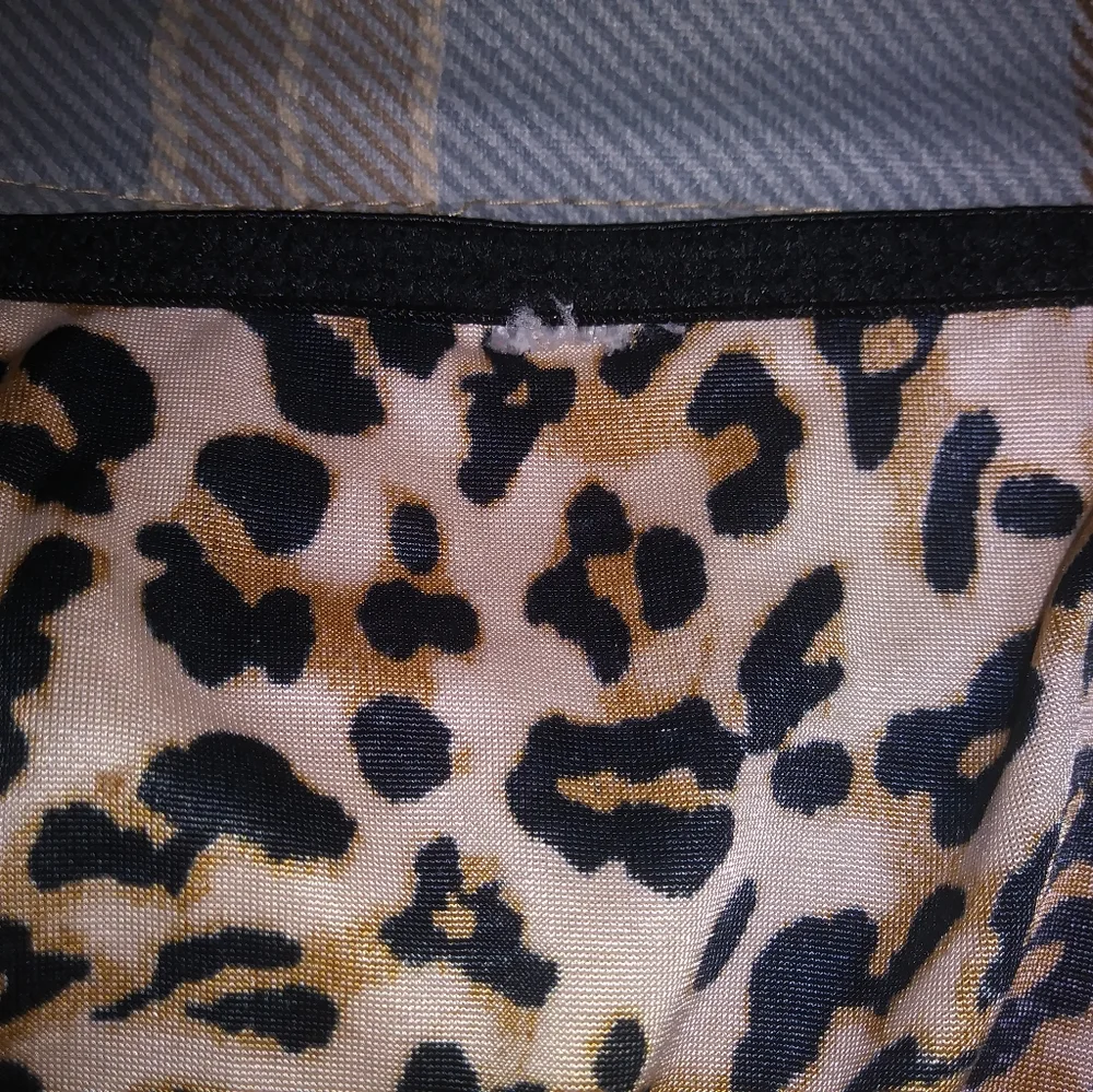 🖤lace cheetah teddy💋🖤 - Picture 5 of 6